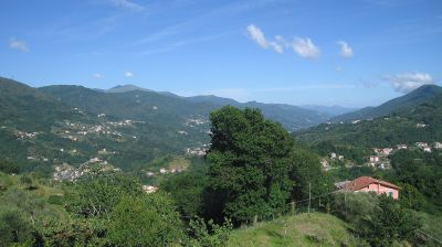 immagine della webcam nei dintorni di Zoagli: webcam Tribogna