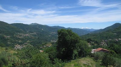 immagine della webcam nei dintorni di Chiavari: webcam Tribogna