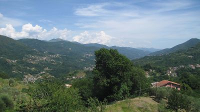 immagine della webcam nei dintorni di Rovegno: webcam Tribogna