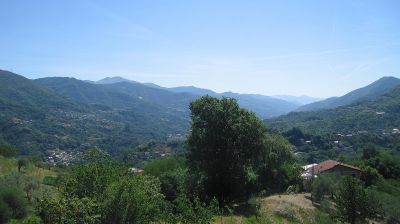 immagine della webcam nei dintorni di Sori: webcam Tribogna