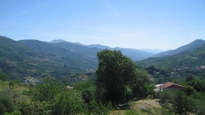 immagine della webcam nei dintorni di Zoagli: webcam Tribogna