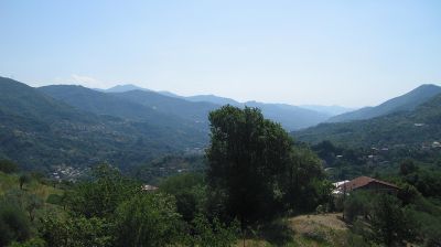 immagine della webcam nei dintorni di Santo Stefano d'Aveto: webcam Tribogna