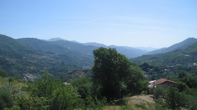 immagine della webcam nei dintorni di Zerba: webcam Tribogna