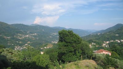 immagine della webcam nei dintorni di Camogli: webcam Tribogna