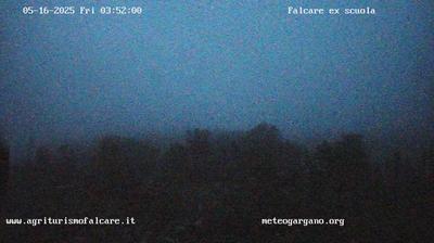 webcam