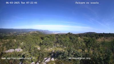 immagine della webcam nei dintorni di Vico del Gargano: webcam Cagnano Varano