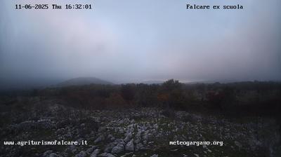 immagine della webcam nei dintorni di Torre Mileto: webcam Cagnano Varano