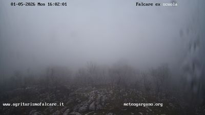 immagine della webcam nei dintorni di Manacore: webcam Cagnano Varano