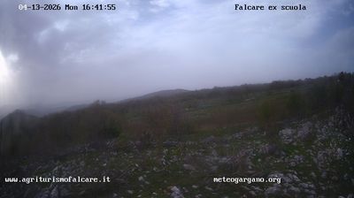 immagine della webcam nei dintorni di Peschici: webcam Cagnano Varano