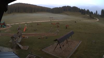 immagine della webcam nei dintorni di Conco: webcam Valdastico