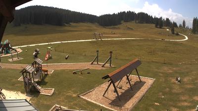 immagine della webcam nei dintorni di Asiago: webcam Valdastico