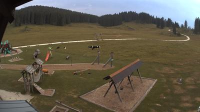 immagine della webcam nei dintorni di Gallio: webcam Valdastico