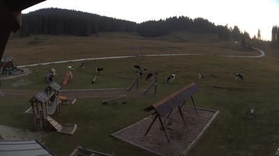 immagine della webcam nei dintorni di Campomulo: webcam Valdastico