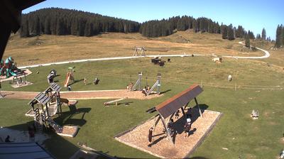 immagine della webcam nei dintorni di Gallio: webcam Valdastico