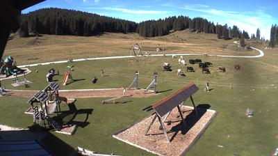 immagine della webcam nei dintorni di Velo d'Astico: webcam Valdastico