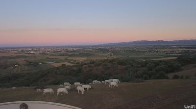 immagine della webcam nei dintorni di Buriano: webcam Roselle
