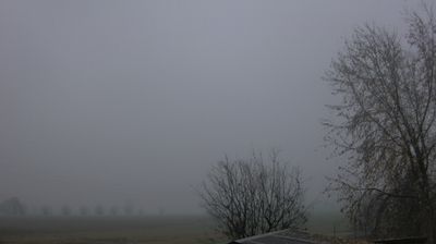 immagine della webcam nei dintorni di Viano: webcam Montechiarugolo