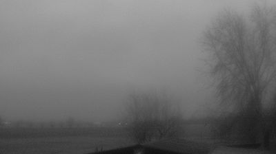 immagine della webcam nei dintorni di Bagnolo in Piano: webcam Montechiarugolo