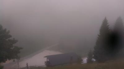 immagine della webcam nei dintorni di Pian del Cansiglio: webcam Revine Lago