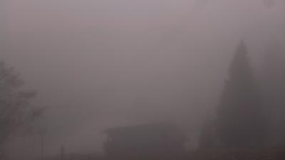 immagine della webcam nei dintorni di Belluno: webcam Revine Lago