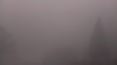 immagine della webcam nei dintorni di Pieve di Soligo: webcam Revine Lago