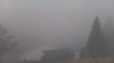 immagine della webcam nei dintorni di Belluno: webcam Revine Lago