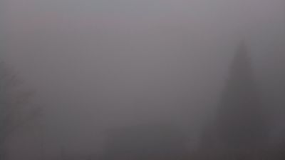 immagine della webcam nei dintorni di Pian del Cansiglio: webcam Revine Lago