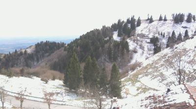 immagine della webcam nei dintorni di Piancavallo: webcam Revine Lago