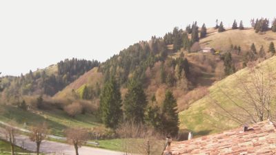 immagine della webcam nei dintorni di Pian del Cansiglio: webcam Revine Lago