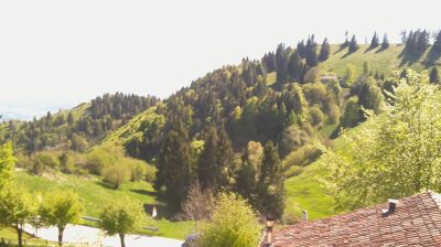 immagine della webcam nei dintorni di Tambre: webcam Revine Lago