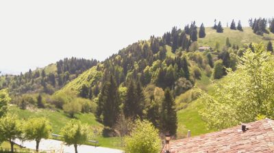 immagine della webcam nei dintorni di Pian del Cansiglio: webcam Revine Lago