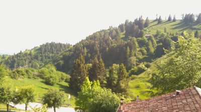 immagine della webcam nei dintorni di Limana: webcam Revine Lago