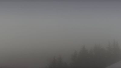 immagine della webcam nei dintorni di Cervere: webcam Niella Belbo