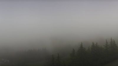 immagine della webcam nei dintorni di Magliano Alfieri: webcam Niella Belbo