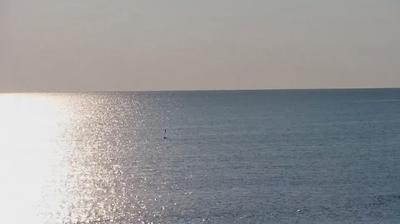 immagine della webcam nei dintorni di Varazze: webcam Albissola Marina