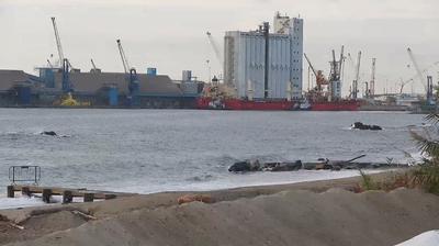 immagine della webcam nei dintorni di Voze: webcam Albissola Marina