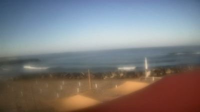 immagine della webcam nei dintorni di Isola Sacra: webcam Focene