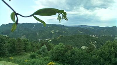 immagine della webcam nei dintorni di Medicina: webcam Castel del Rio