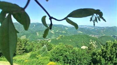 immagine della webcam nei dintorni di San Lazzaro di Savena: webcam Castel del Rio