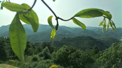 immagine della webcam nei dintorni di San Silvestro: webcam Castel del Rio
