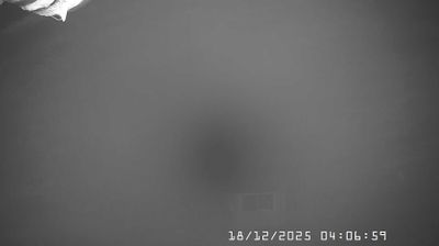 immagine della webcam nei dintorni di Brallo di Pregola: webcam Caldirola