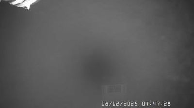 immagine della webcam nei dintorni di Ferriere: webcam Caldirola