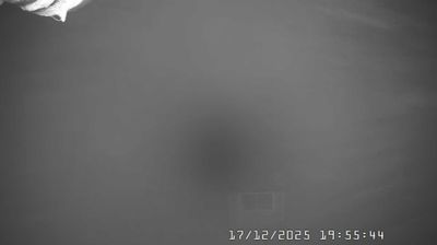 immagine della webcam nei dintorni di Cantalupo Ligure: webcam Caldirola