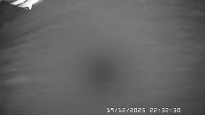 immagine della webcam nei dintorni di Carrosio: webcam Caldirola