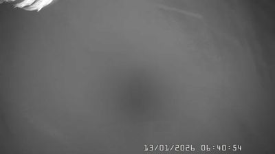 immagine della webcam nei dintorni di Carrega Ligure: webcam Caldirola