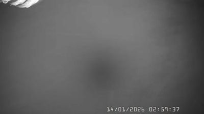 immagine della webcam nei dintorni di Menconico: webcam Caldirola