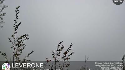 immagine della webcam nei dintorni di Bardineto: webcam Borghetto d'Arroscia