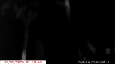 immagine della webcam nei dintorni di Caderzone Terme: webcam San Lorenzo in Banale