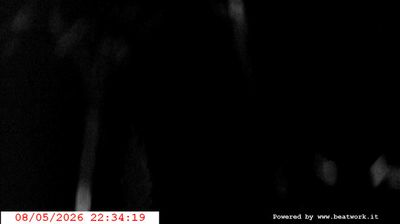 immagine della webcam nei dintorni di Passo Groste': webcam San Lorenzo in Banale