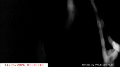 immagine della webcam nei dintorni di Cavedago: webcam San Lorenzo in Banale